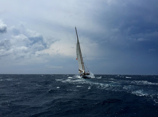 From Stormy Waters to Calm Shores: Strategies for Successfully Navigating the Supply Chain Seas